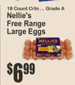 Key Food 18 Count Crtn ... Grade A Nellie's Free Range Large Eggs offer