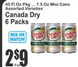 Key Food Canada Dry offer