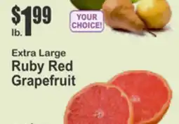 Key Food Extra Large Ruby Red Grapefruit offer