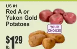 Key Food US #1 Red A or Yukon Gold Potatoes offer