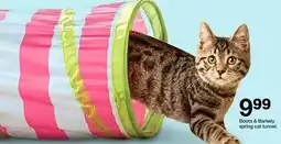 Target Boots & Barley spring cat tunnel offer