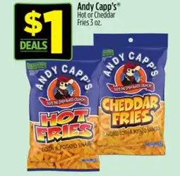 Dollar General Andy Capp's Hot or Cheddar Fries offer