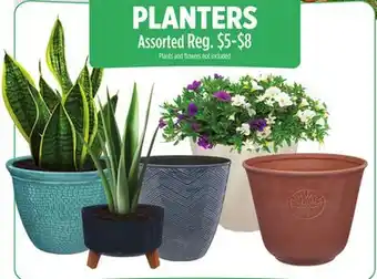 Dollar General PLANTERS offer