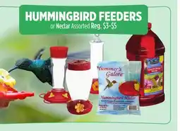 Dollar General HUMMINGBIRD FEEDERS or Nectar offer