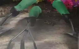 Family Dollar Outdoors by Design Premium Garden Hand Tools offer