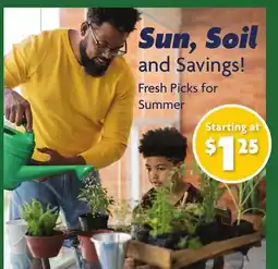 Family Dollar Fresh Picks for Summer offer