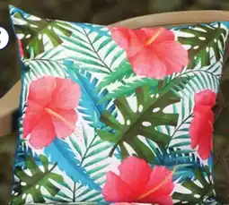 Family Dollar Outdoors by Design Toss Pillows or Chair Pads offer