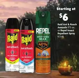 Family Dollar Raid Ant & Roach Aerosols 17.5 oz. or Repel Insect Repellent Spray 6.5 oz offer