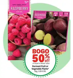 Meijer Dormant Fruit or Vegetable Plants offer