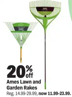 Meijer Ames Lawn and Garden Rakes offer