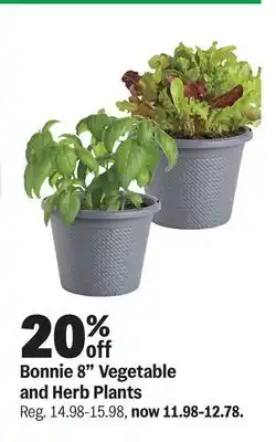Meijer Bonnie 8 Vegetable and Herb Plants offer