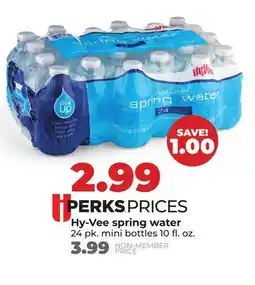 Hy-Vee Hy-Vee spring water offer