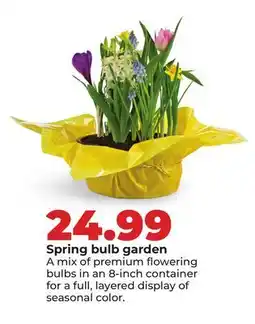 Hy-Vee Spring bulb garden offer