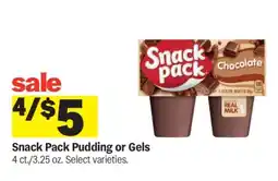 Meijer Snack Pack Pudding or Gels offer