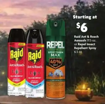 Raid Ant & Roach Aerosols or Repel Insect Repellent Spray