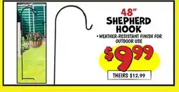 Ollie's 48 SHEPHERD HOOK offer