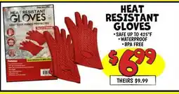 Ollie's HEAT RESISTANT GLOVES offer