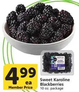 Vons Sweet Karoline Blackberries offer