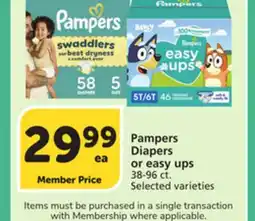 Vons Pampers Diapers or easy ups offer