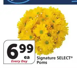 Vons Signature SELECT Poms offer