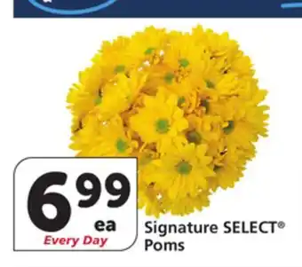 Vons Signature SELECT Poms offer