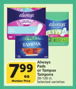 Vons Always Pads or Tampax Tampons offer