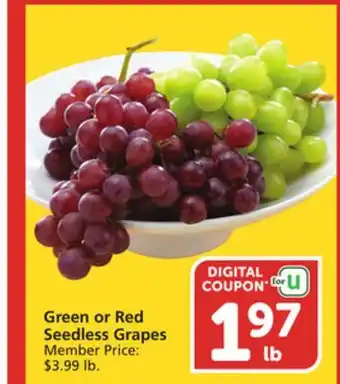 Green or Red Seedless Grapes
