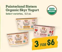 Sprouts Farmers Market Painterland Sisters Organic Skyr Yogurt offer