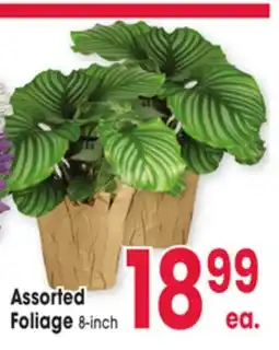 Jewel-Osco Assorted Foliage offer