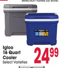 Jewel-Osco Igloo 16 Quart Cooler offer