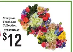 Mariano's Mariposa Fresh Cut Collection offer