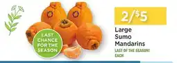 Heinen's Large Sumo Mandarins offer