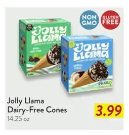 Fresh Thyme Jolly Llama Dairy-Free Cones offer
