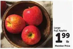 Safeway Large Fuji Apples offer