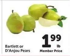 Safeway Bartlett or D'Anjou Pears offer