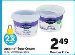 Safeway Lucerne Sour Cream offer