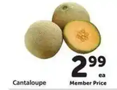 Safeway Cantaloupe offer