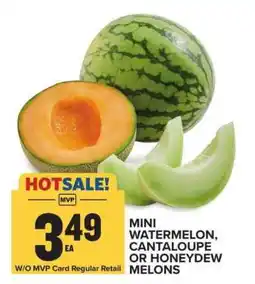Food Lion Mini Watermelon, Cantaloupe or Honeydew Melons offer