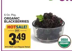 Food Lion Organic Blackberries offer