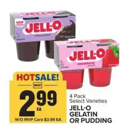 Food Lion Jell-O Gelatin or Pudding offer