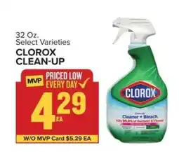 Food Lion Clorox Clean-Up offer