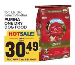 Food Lion Purina ONE Dry Dog Food offer