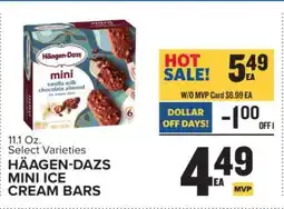 Food Lion Häagen-Dazs Mini Ice Cream Bars offer