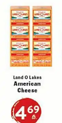 Rio Valley Market Land O Lakes American Cheese offer