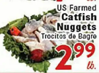 Rio Valley Market US Farm Catfish Nuggets offer