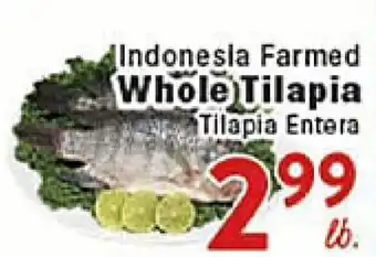 Rio Valley Market Indonesia Farmed Whole Tilapia offer