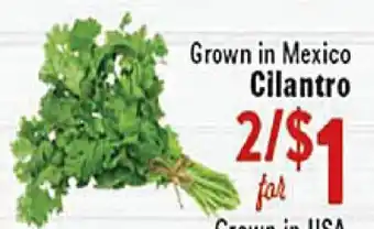 Rio Valley Market Cilantro offer