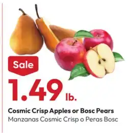 Stater Bros Cosmic Crisp Apples or Bosc Pears offer