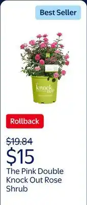 Walmart The Knock Out Family of Roses 'The Pink Double Knock Out Rose' Live Shrub in 1-Gallon Grower Pot offer