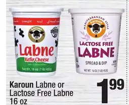 Super King Markets Karoun Labne or Lactose Free Labne offer